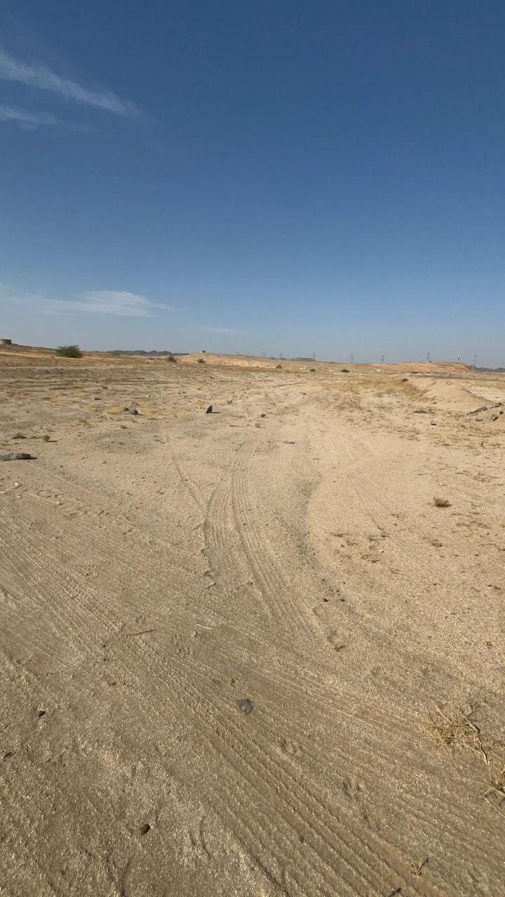 من الميدان — لقطة 3